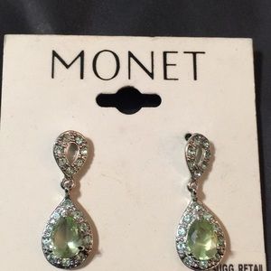 Money teardrop earrings